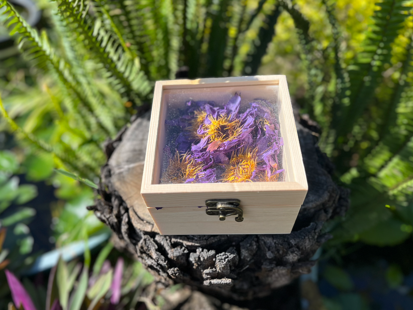 Wooden Box with 20g of flowers - Lotus essentials