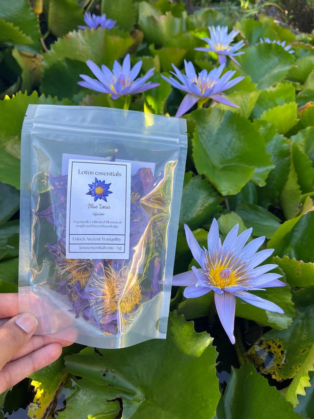 Blue Lotus Flower Tea – Dried Whole Flowers (15g)