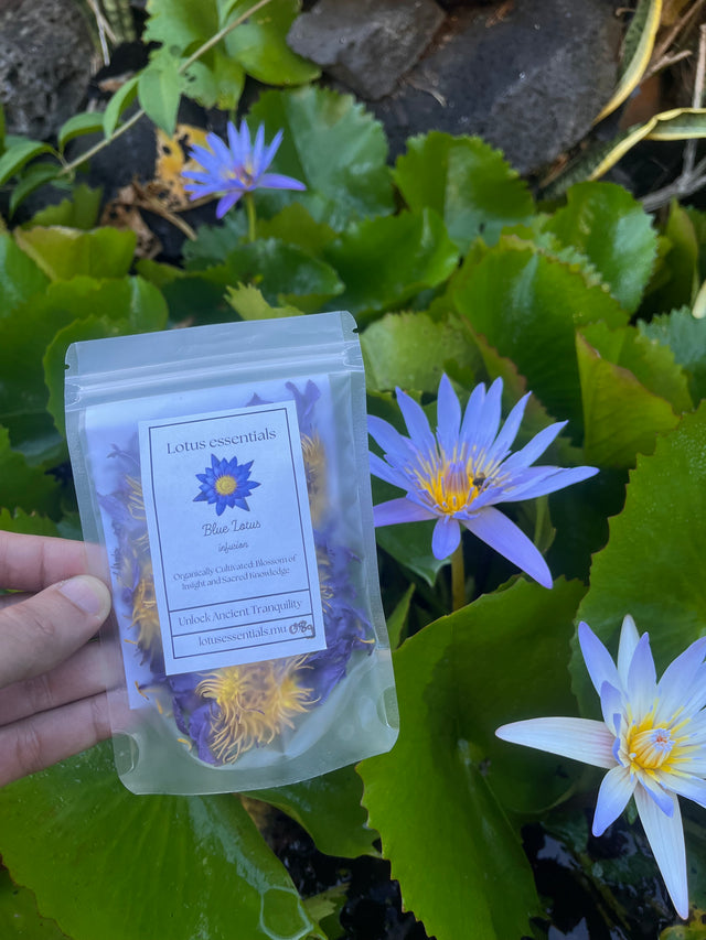 Blue Lotus Flower Tea – Dried Whole Flowers (8g)