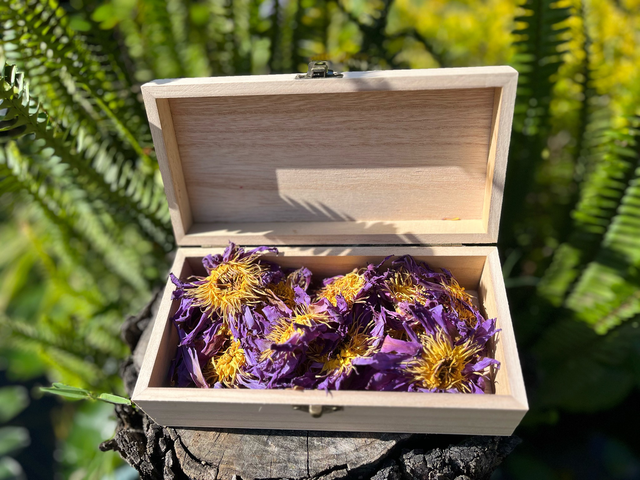 Blue Lotus Gift Set – Large Wooden Box with 25g Dried Flowers